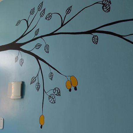 Solar Hostel Parnaíba المظهر الخارجي الصورة